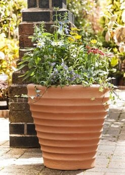 Morroccan Planter Medium 58cm - Terracina - Alton Garden Centre 5 Morroccan Planter Medium 58cm - Terracina - Alton Garden Centre -Stihl || COBRA || Wolf Sales 91JeqZWyE0L. AC SY879