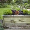 Forest - Cambridge Planter 150×50 - Alton Garden Centre 1 Forest - Cambridge Planter 150×50 - Alton Garden Centre -Stihl || COBRA || Wolf Sales CPK15050 1 1