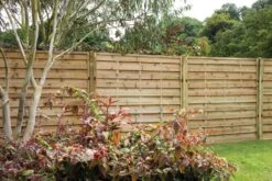 Forest - Pressure Treated Europa Plain Fence Panel 6ft (1.8m X 1.8m) - Alton Garden Centre