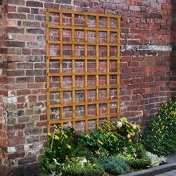 Forest - Heavy Duty Trellis 183 X 122cm - Alton Garden Centre