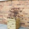 Forest - Linear Planter Square - Alton Garden Centre 2 Forest - Linear Planter Square - Alton Garden Centre -Stihl || COBRA || Wolf Sales LINPL40 1 1 684x1024 1