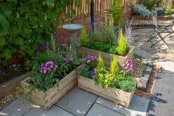Forest - Durham Rectangular Planter Set Of 3 - Alton Garden Centre