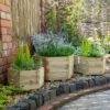 Forest - York Hexagonal Planter Set Of 3 Small - Alton Garden Centre 2 Forest - York Hexagonal Planter Set Of 3 Small - Alton Garden Centre -Stihl || COBRA || Wolf Sales MFD84 4 1 1024x683 1