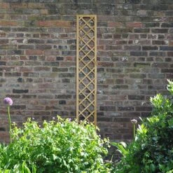 Forest - Hidcote Lattice 180 X 30 Cm - Alton Garden Centre