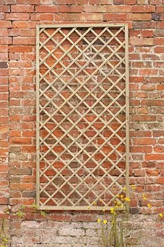 Forest - Hidcote Lattice 180 X 90cm - Alton Garden Centre 4 Forest - Hidcote Lattice 180 X 90cm - Alton Garden Centre - Image 2