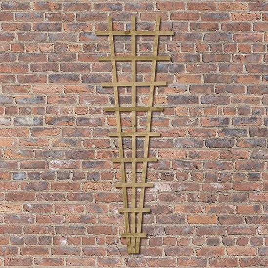 Forest - Traditional Fan Trellis 180 X 60cm - Alton Garden Centre 5 Forest - Traditional Fan Trellis 180 X 60cm - Alton Garden Centre - Image 3