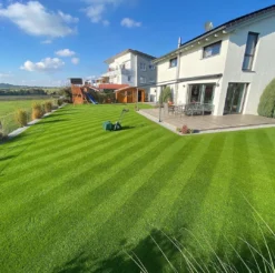 Allett Liberty 43 17" Battery Cylinder Lawnmower - Alton Garden Centre -Stihl || COBRA || Wolf Sales image cb239777 fd86 4033 a7c8 87eb0fda64ac 1024x1024@2x