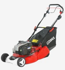 Cobra RM513SPBI 20" Petrol Powered Rear Roller Lawnmower - Alton Garden Centre -Stihl || COBRA || Wolf Sales products prodzoomimg16076