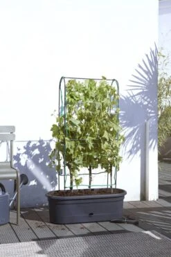 Elho - Green Basics Veggie Wall 80cm - Alton Garden Centre