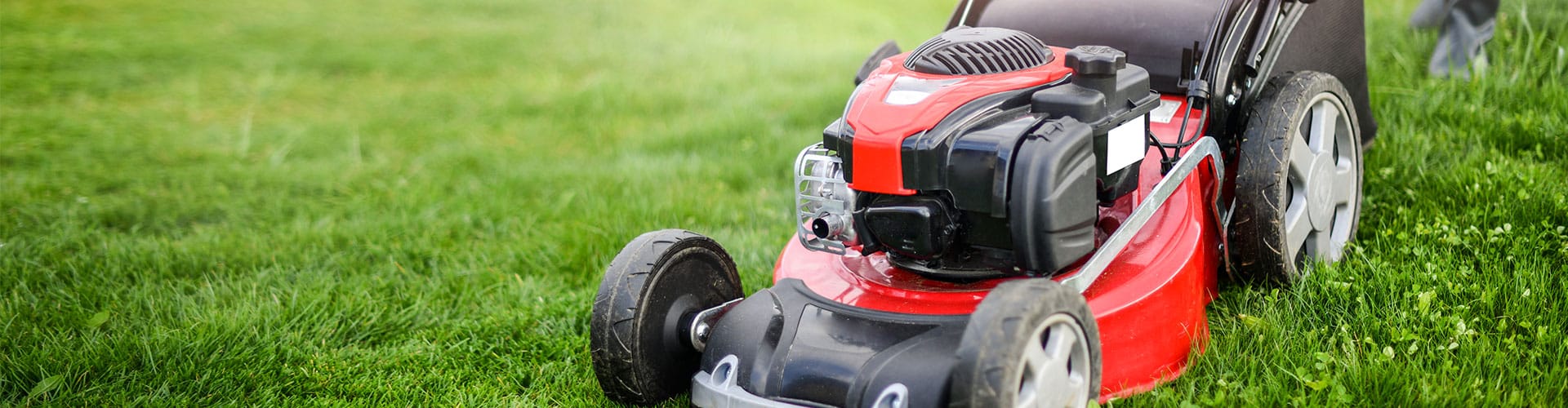 Stihl || COBRA || Wolf Sales -Stihl || COBRA || Wolf Sales lawn mower banner